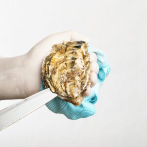 Ostra Plana